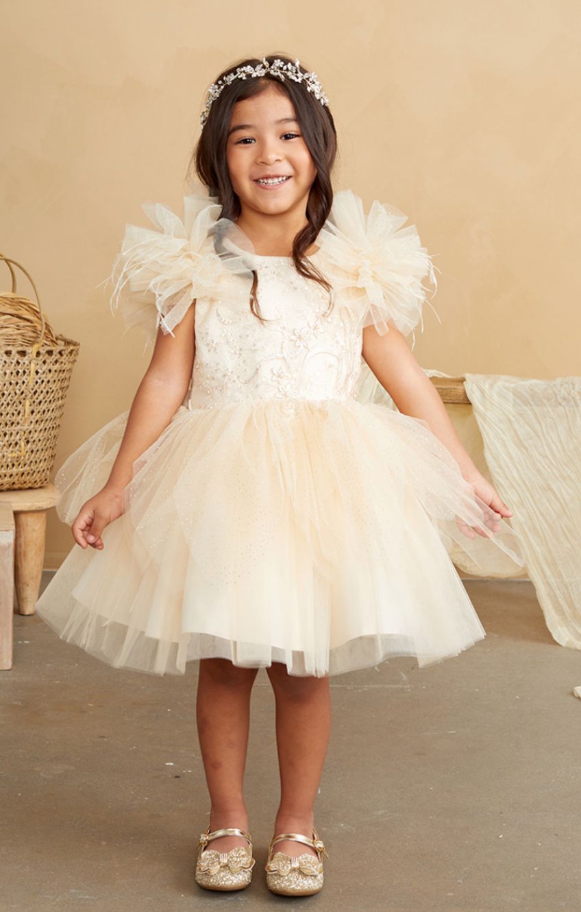 Girls Party Dresses